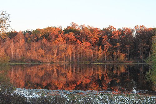 Property photo 93 - REAL ESTATE AUCTION, 163+/- Acres offered in 8 Tracts