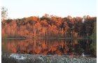 Property photo 93 - REAL ESTATE AUCTION, 163+/- Acres offered in 8 Tracts