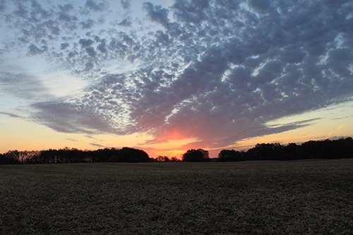 Property photo 37 - REAL ESTATE AUCTION, 163+/- Acres offered in 8 Tracts