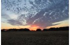 Property photo 37 - REAL ESTATE AUCTION, 163+/- Acres offered in 8 Tracts