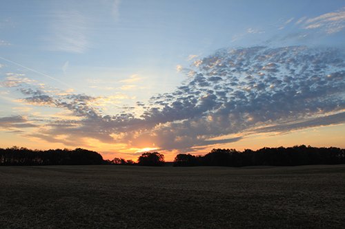 Property photo 64 - REAL ESTATE AUCTION, 163+/- Acres offered in 8 Tracts