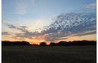 Property photo 64 - REAL ESTATE AUCTION, 163+/- Acres offered in 8 Tracts