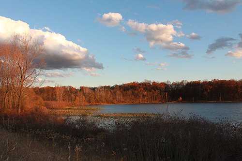 Property photo 20 - REAL ESTATE AUCTION, 163+/- Acres offered in 8 Tracts