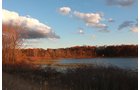 Property photo 20 - REAL ESTATE AUCTION, 163+/- Acres offered in 8 Tracts