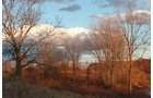 tract 4 - REAL ESTATE AUCTION, 163+/- Acres offered in 8 Tracts