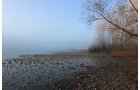 Property photo 80 - REAL ESTATE AUCTION, 163+/- Acres offered in 8 Tracts