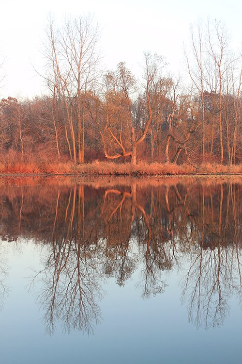 Property photo 84 - REAL ESTATE AUCTION, 163+/- Acres offered in 8 Tracts