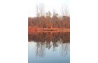 Property photo 84 - REAL ESTATE AUCTION, 163+/- Acres offered in 8 Tracts