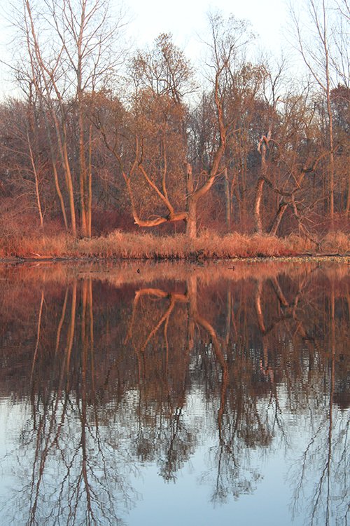 Property photo 83 - REAL ESTATE AUCTION, 163+/- Acres offered in 8 Tracts