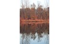 Property photo 83 - REAL ESTATE AUCTION, 163+/- Acres offered in 8 Tracts