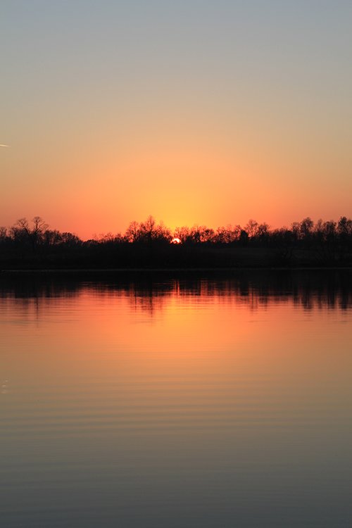 Property photo 63 - REAL ESTATE AUCTION, 163+/- Acres offered in 8 Tracts