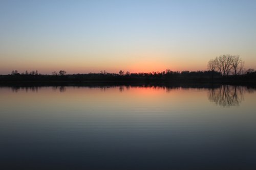 Property photo 40 - REAL ESTATE AUCTION, 163+/- Acres offered in 8 Tracts