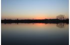 Property photo 40 - REAL ESTATE AUCTION, 163+/- Acres offered in 8 Tracts