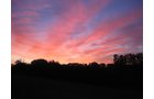 Property photo 89 - REAL ESTATE AUCTION, 163+/- Acres offered in 8 Tracts