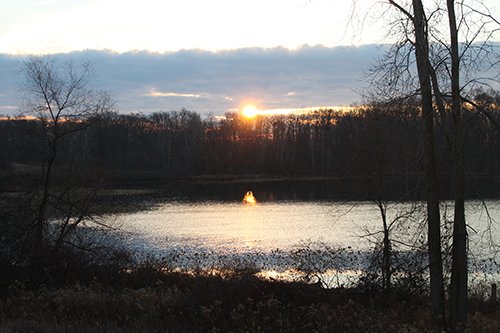 Property photo 50 - REAL ESTATE AUCTION, 163+/- Acres offered in 8 Tracts