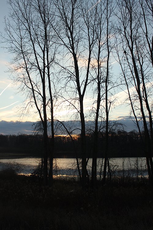 Property photo 60 - REAL ESTATE AUCTION, 163+/- Acres offered in 8 Tracts