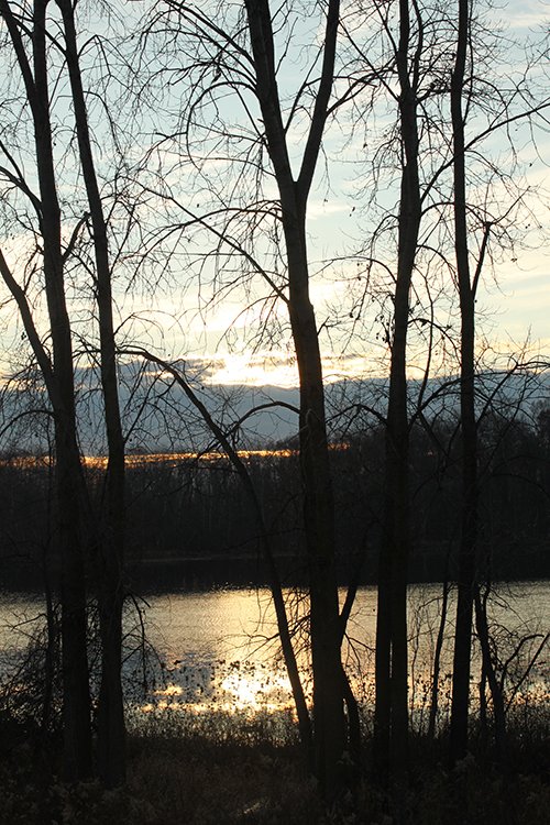 Property photo 108 - REAL ESTATE AUCTION, 163+/- Acres offered in 8 Tracts