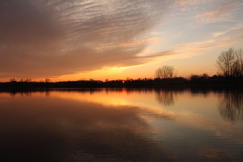 Property photo 67 - REAL ESTATE AUCTION, 163+/- Acres offered in 8 Tracts