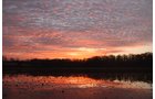 Property photo 117 - REAL ESTATE AUCTION, 163+/- Acres offered in 8 Tracts