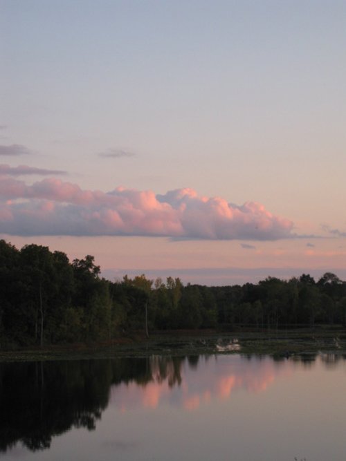 Property photo 57 - REAL ESTATE AUCTION, 163+/- Acres offered in 8 Tracts