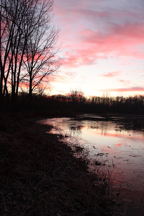 Property photo 88 - REAL ESTATE AUCTION, 163+/- Acres offered in 8 Tracts