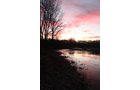 Property photo 88 - REAL ESTATE AUCTION, 163+/- Acres offered in 8 Tracts
