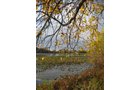 Property photo 68 - REAL ESTATE AUCTION, 163+/- Acres offered in 8 Tracts