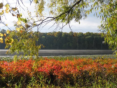 tract 4 - REAL ESTATE AUCTION, 163+/- Acres offered in 8 Tracts