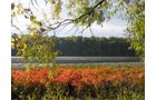 tract 4 - REAL ESTATE AUCTION, 163+/- Acres offered in 8 Tracts