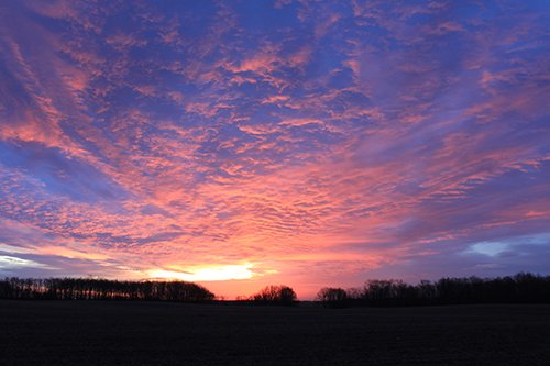 Property photo 106 - REAL ESTATE AUCTION, 163+/- Acres offered in 8 Tracts