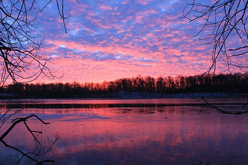 Property photo 36 - REAL ESTATE AUCTION, 163+/- Acres offered in 8 Tracts