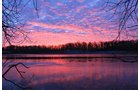 Property photo 36 - REAL ESTATE AUCTION, 163+/- Acres offered in 8 Tracts