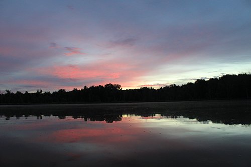 Property photo 30 - REAL ESTATE AUCTION, 163+/- Acres offered in 8 Tracts