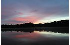 Property photo 30 - REAL ESTATE AUCTION, 163+/- Acres offered in 8 Tracts
