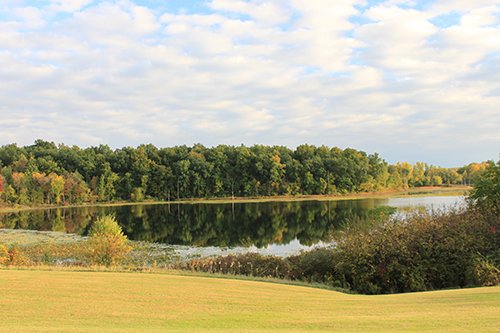 Property photo 86 - REAL ESTATE AUCTION, 163+/- Acres offered in 8 Tracts