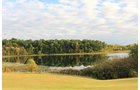 Property photo 86 - REAL ESTATE AUCTION, 163+/- Acres offered in 8 Tracts