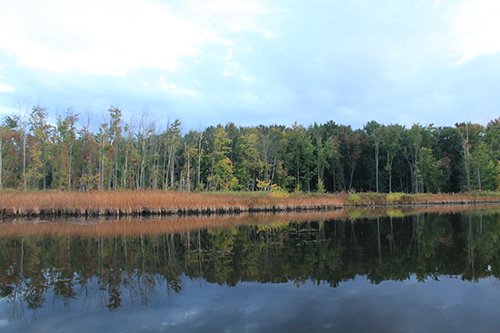 Property photo 24 - REAL ESTATE AUCTION, 163+/- Acres offered in 8 Tracts