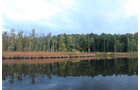 Property photo 24 - REAL ESTATE AUCTION, 163+/- Acres offered in 8 Tracts