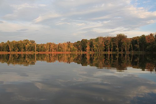 Property photo 95 - REAL ESTATE AUCTION, 163+/- Acres offered in 8 Tracts