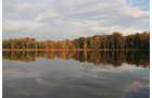 Property photo 95 - REAL ESTATE AUCTION, 163+/- Acres offered in 8 Tracts