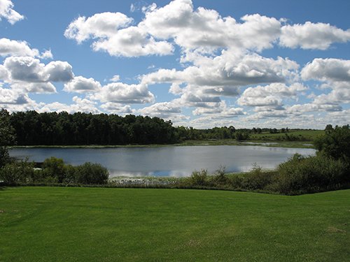 Property photo 102 - REAL ESTATE AUCTION, 163+/- Acres offered in 8 Tracts