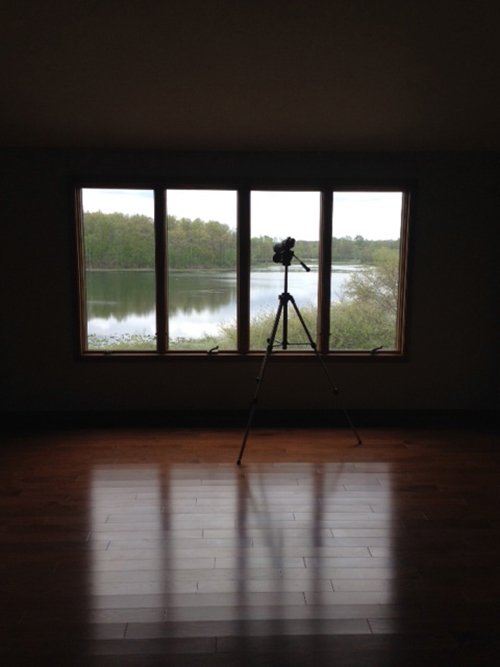 Property photo 48 - REAL ESTATE AUCTION, 163+/- Acres offered in 8 Tracts