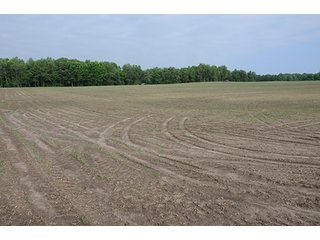 Property photo 22 - INDIANA FARMLAND AUCTION, 525+/- Acres in 8 Tracts