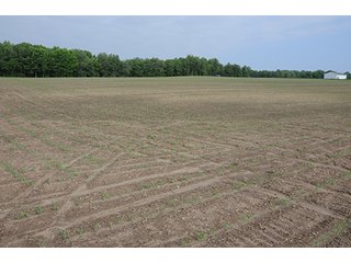 Property photo 14 - INDIANA FARMLAND AUCTION, 525+/- Acres in 8 Tracts