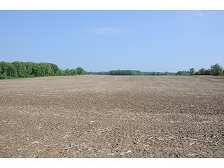 Property photo 20 - INDIANA FARMLAND AUCTION, 525+/- Acres in 8 Tracts