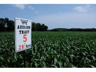 Tract 5 - INDIANA FARMLAND AUCTION, 525+/- Acres in 8 Tracts