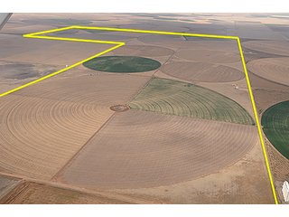 Property photo 4 - TEXAS LAND AUCTION, 4,158+/- Acres offered in 3 Tracts