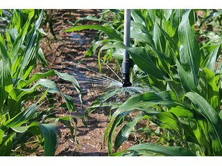Property photo 2 - TEXAS LAND AUCTION, 4,158+/- Acres offered in 3 Tracts