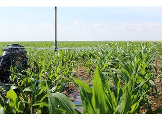 Property photo 5 - TEXAS LAND AUCTION, 4,158+/- Acres offered in 3 Tracts