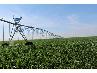 Property photo 3 - TEXAS LAND AUCTION, 4,158+/- Acres offered in 3 Tracts